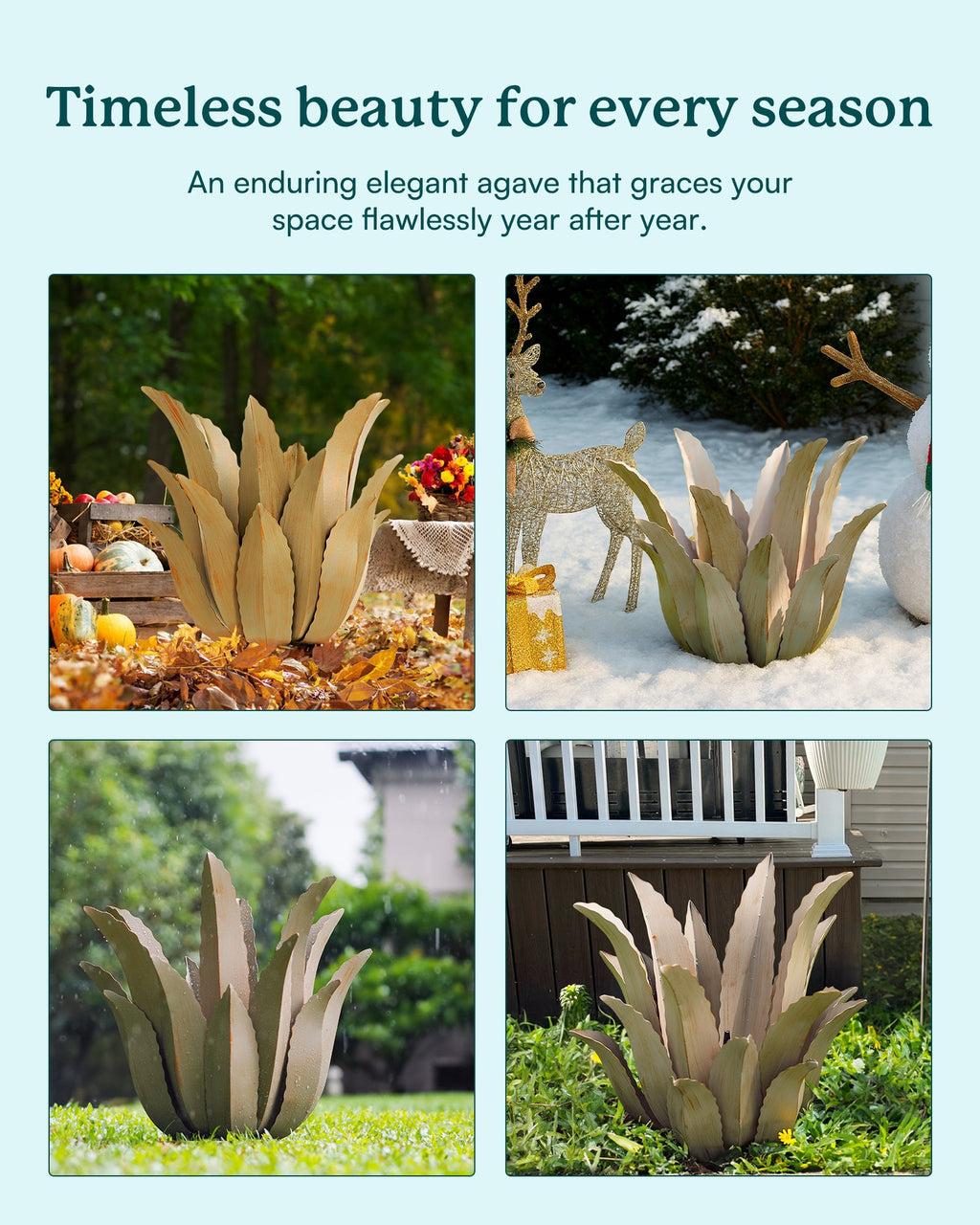 Desert Greenery Agave