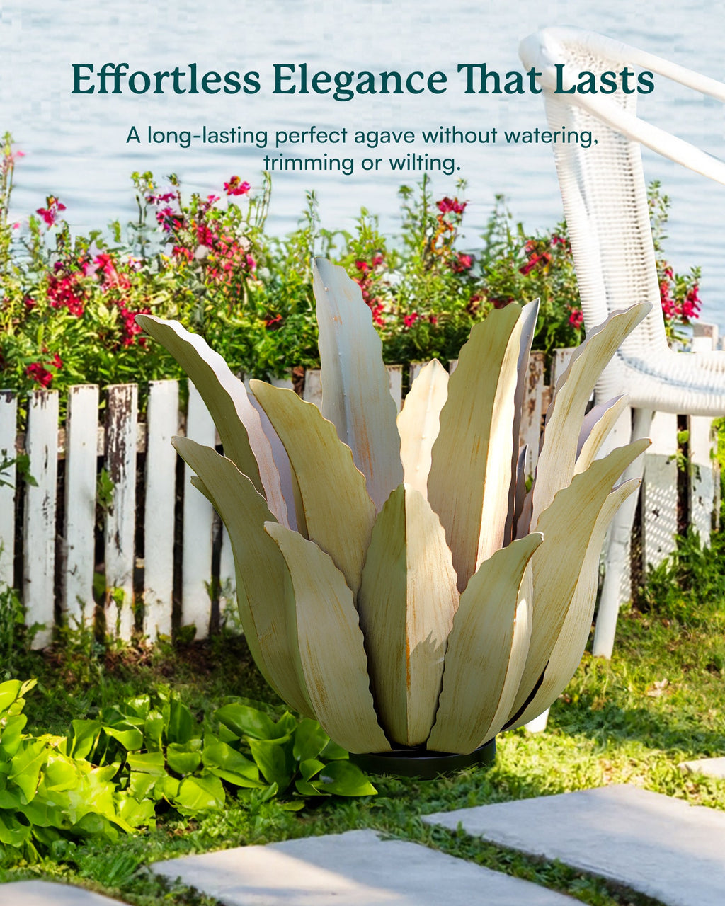 Desert Greenery Agave