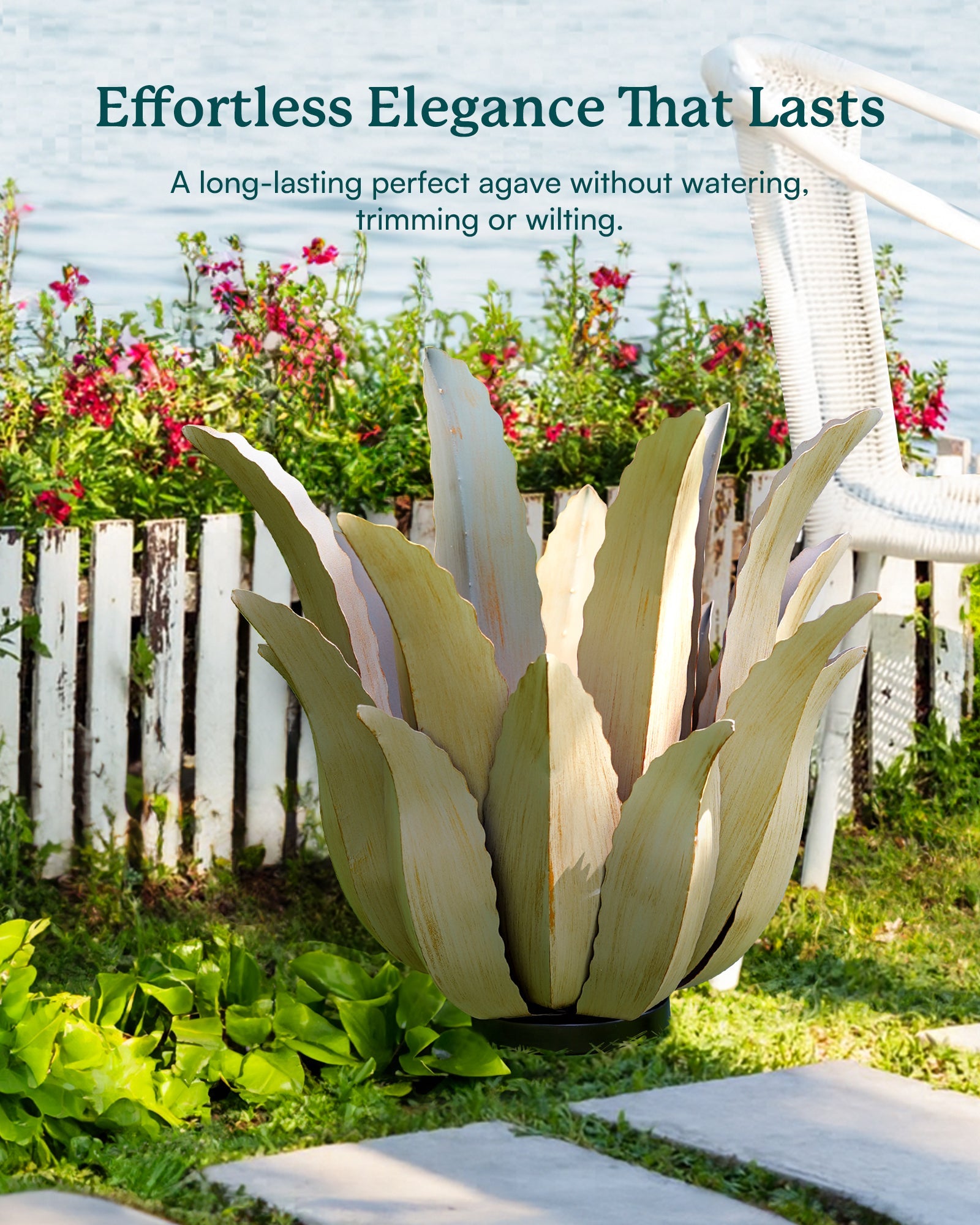 Desert Greenery Agave