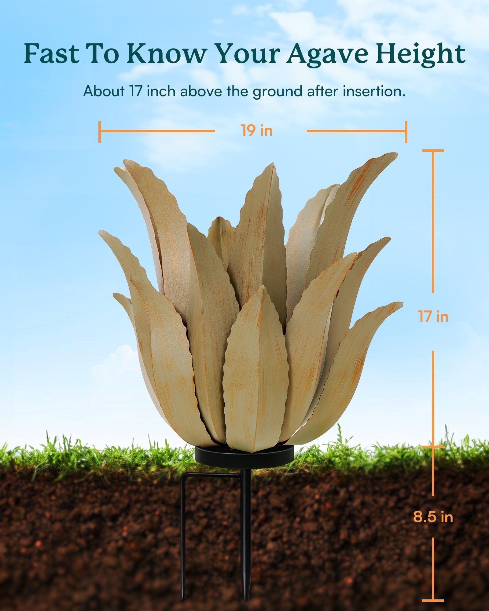 Desert Greenery Agave