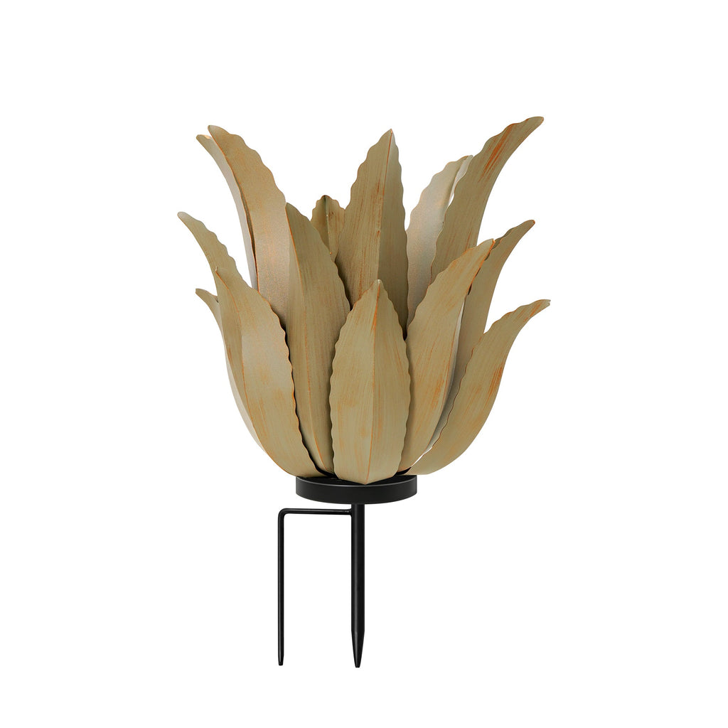 Desert Greenery Agave