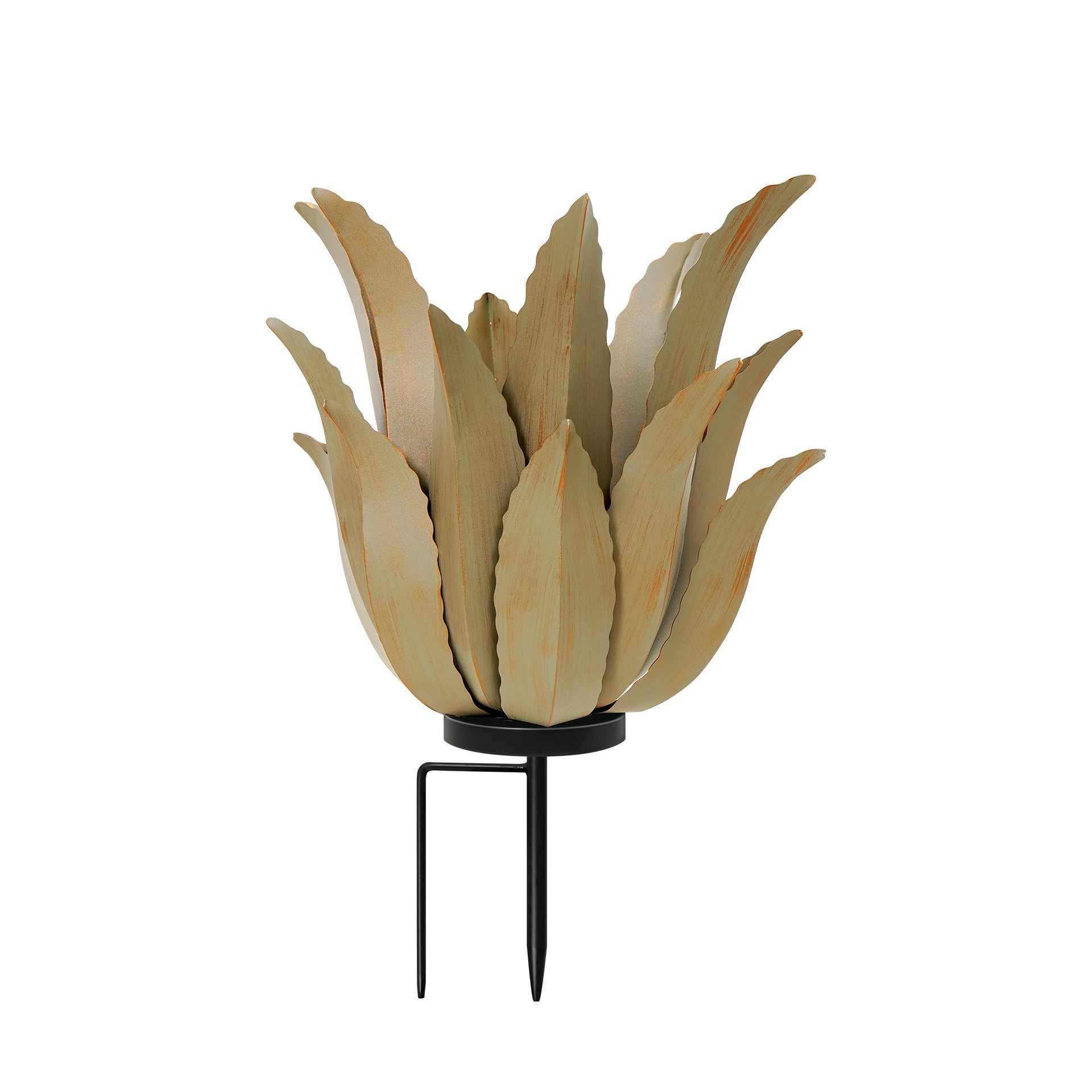 Desert Greenery Agave