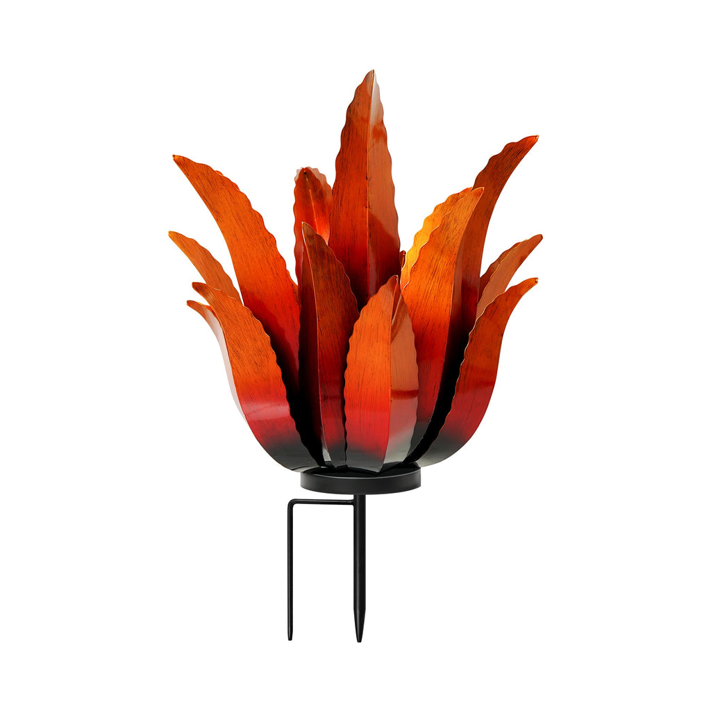 Flame Agave