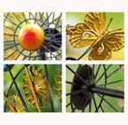 Dreamland Butterfly Wind Spinner